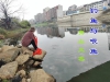 钓鱼与喂鱼：涟水河畔的哲思之游  / 青山文客