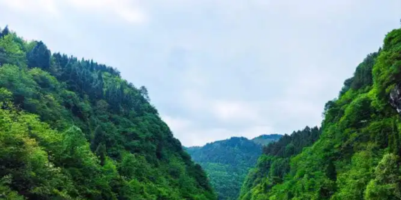 沁园春·咏梅山（苏轼体）/ 青山文客