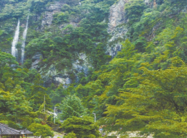 新化大熊山：寻一场秋日流云雾海  / 杨云辉