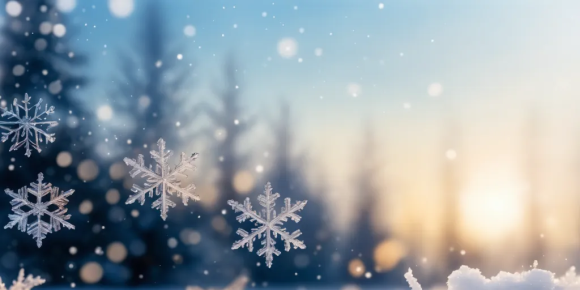 我的雪花妹妹 / 青山文客