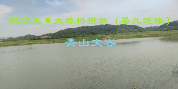 鹧鸪天·大埠桥揽胜（晏几道体）/ 青山文客