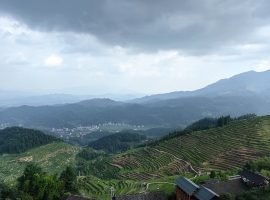 远观紫鹊界梯田