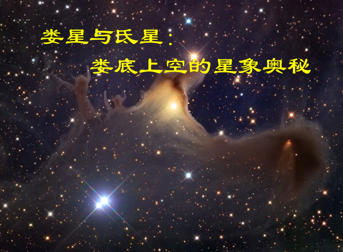 氐星.png