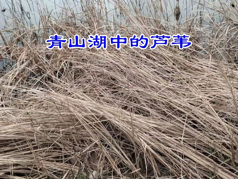 微信图片_20250307084159.png