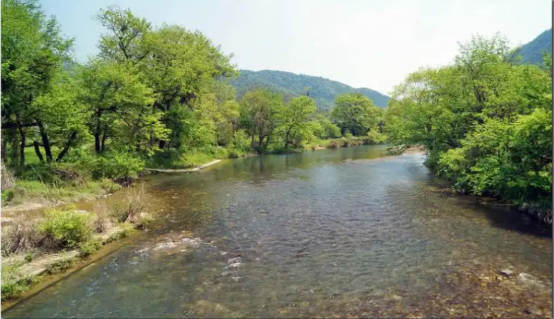 小河1.png