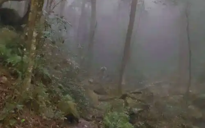 山路2.png