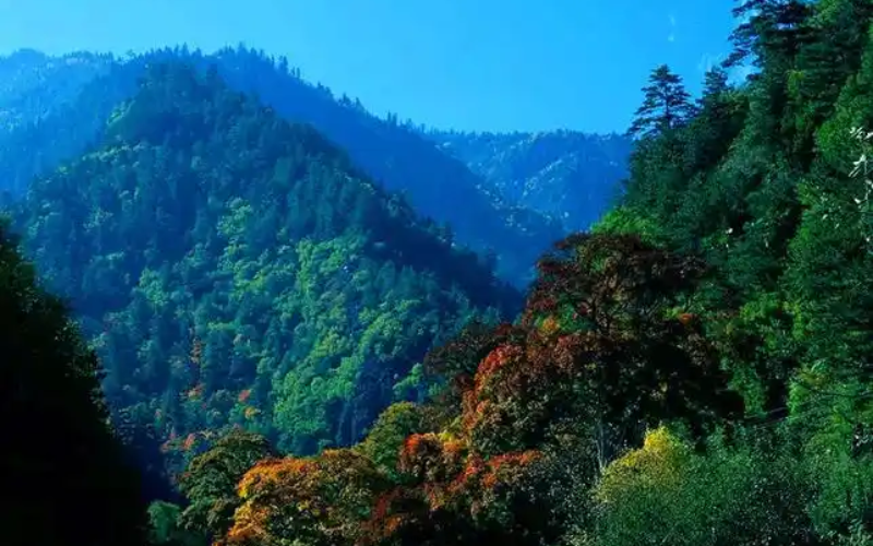 山.png