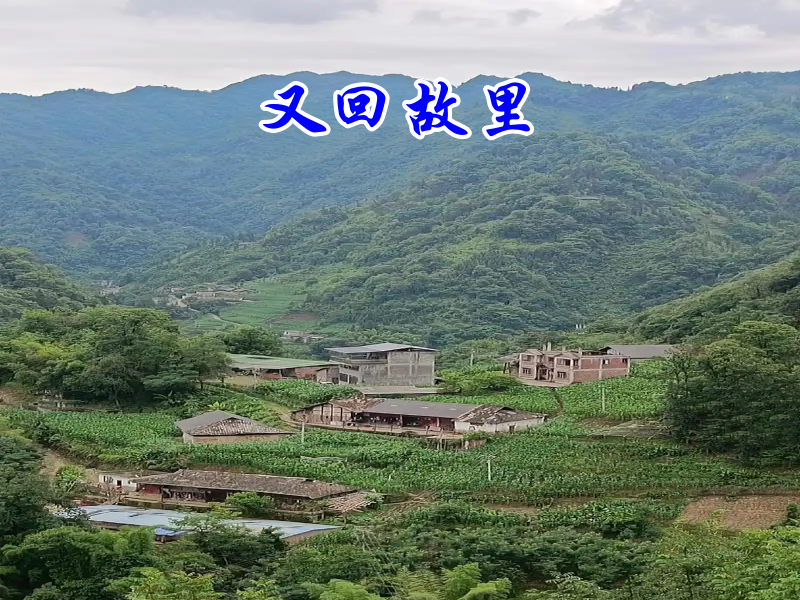 故乡_副本.png