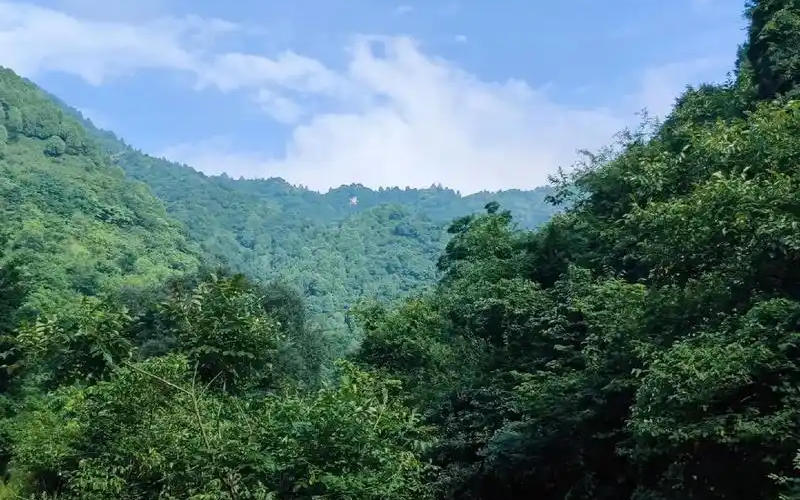 山路.png