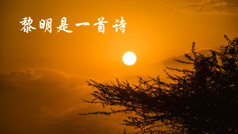 黎明.png