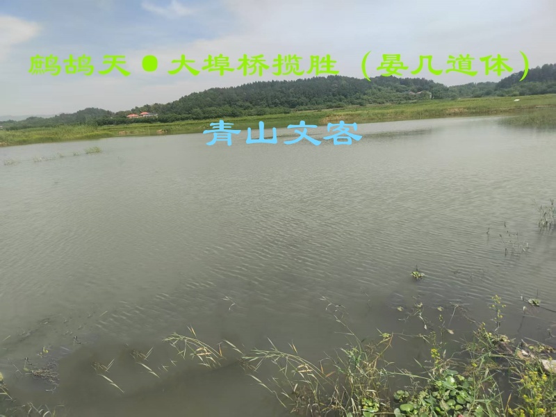 题目.jpg