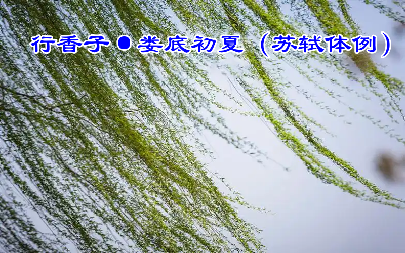 题图.png