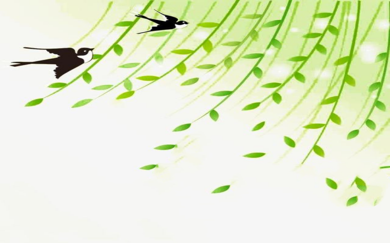 春风1.png