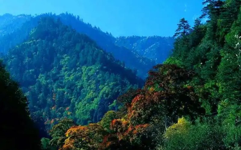 山.png