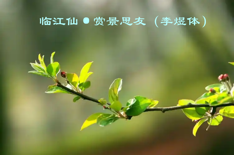 春光_副本.png