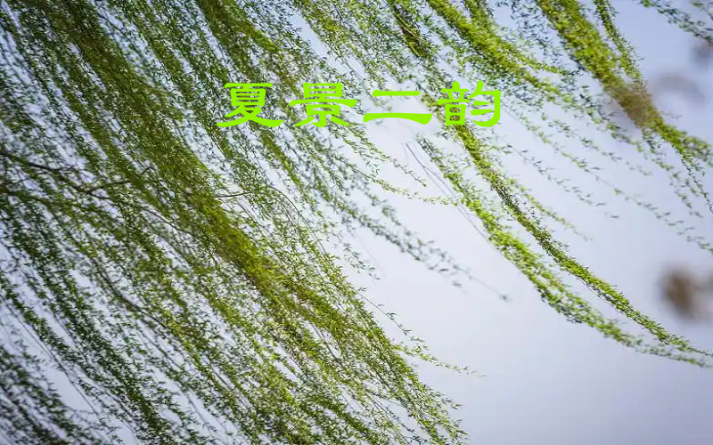 春光1_副本_副本_副本.png