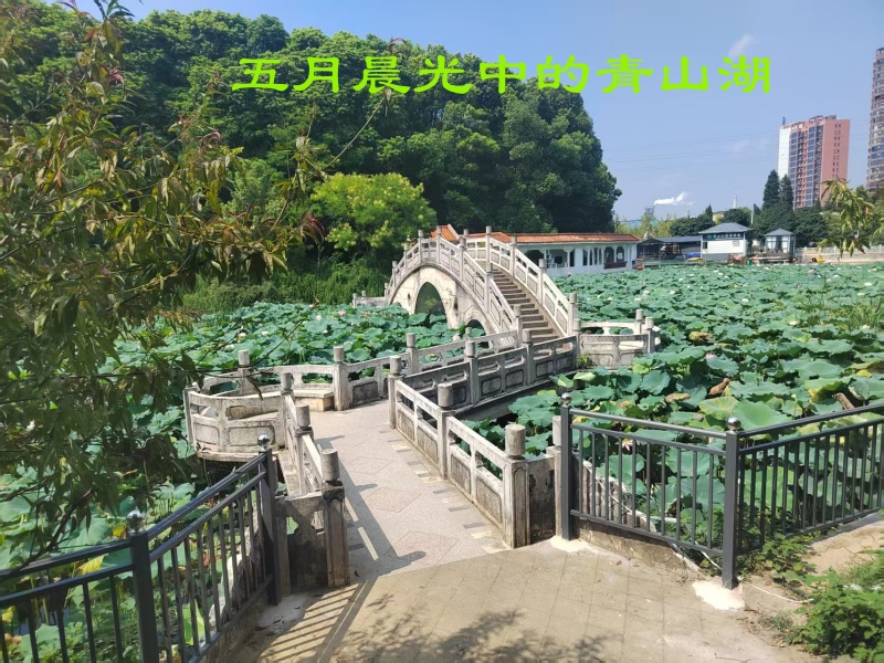 青山湖.jpg