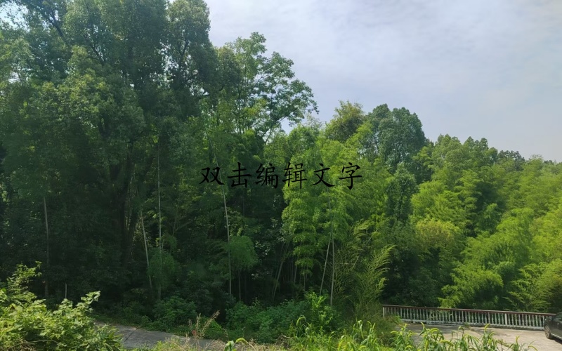 神童湾1.jpg