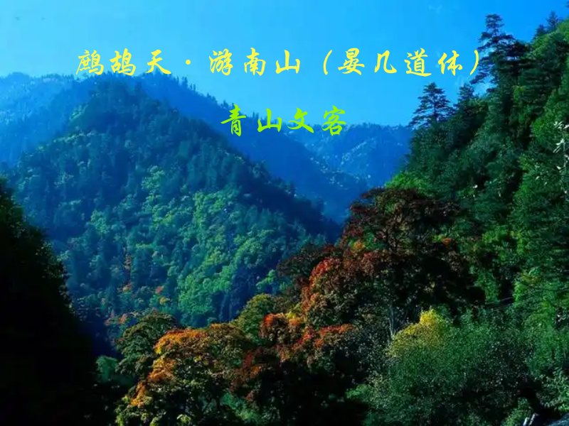南山1.png