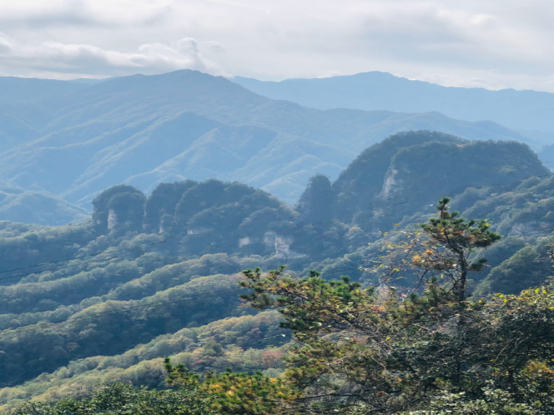 南山.png