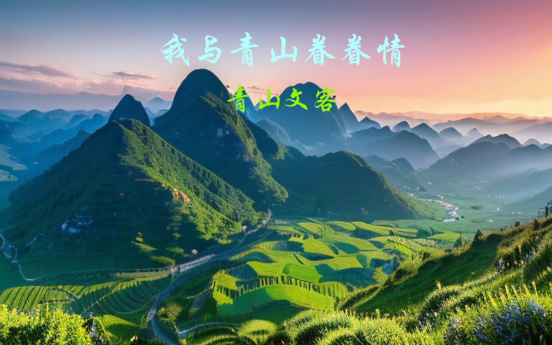 青山.png