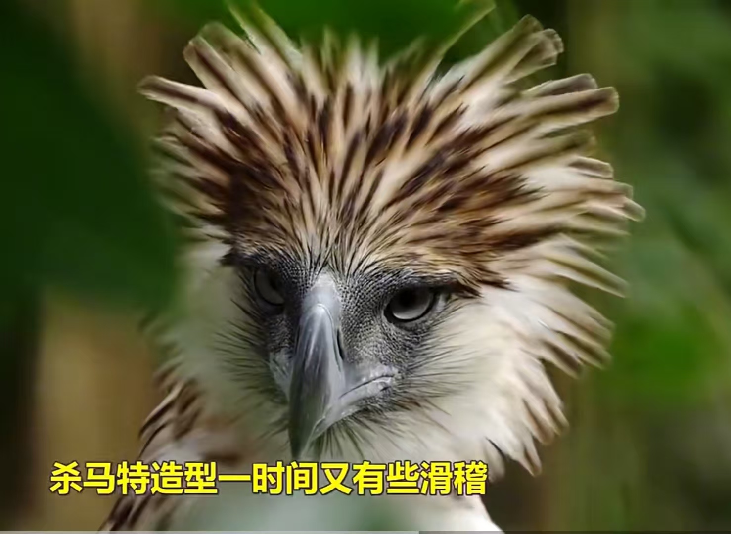 微信图片_20250611064715.jpg
