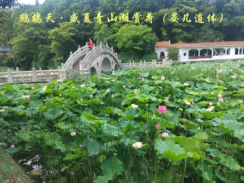 题图.jpg