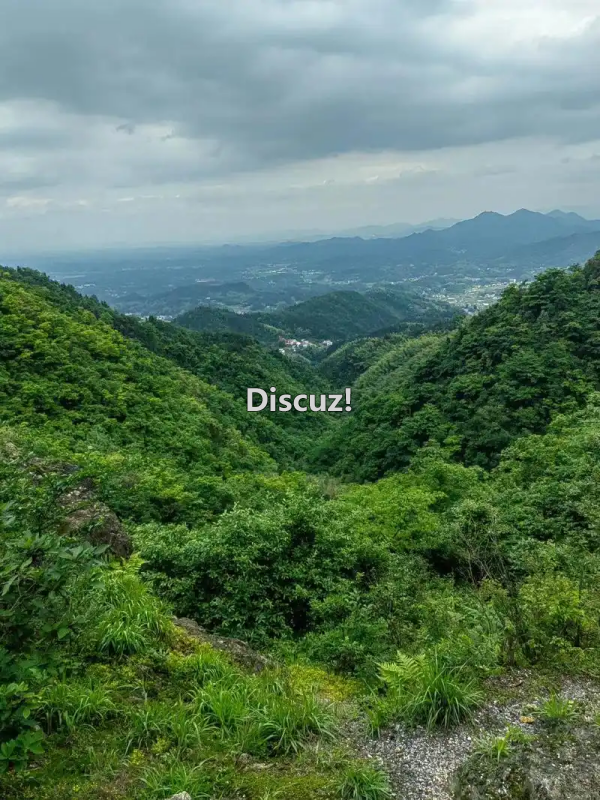 洪家山2.png