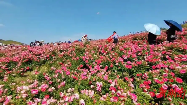 微信图片_20250629214146.png