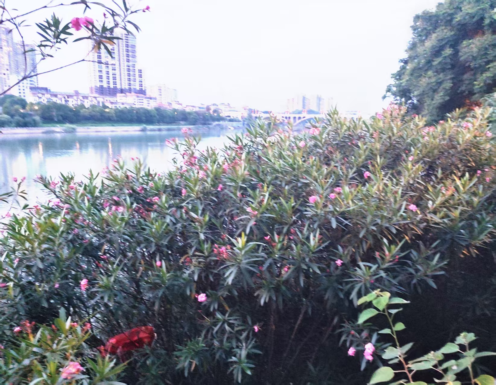 邓坚才.jpg
