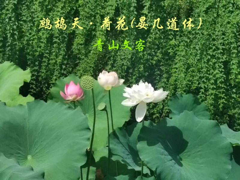 题目.jpg