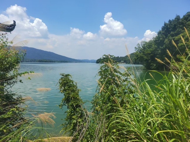水浒庙1.jpg