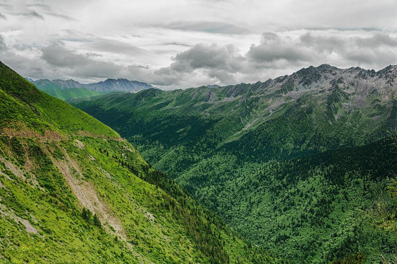 青山.png