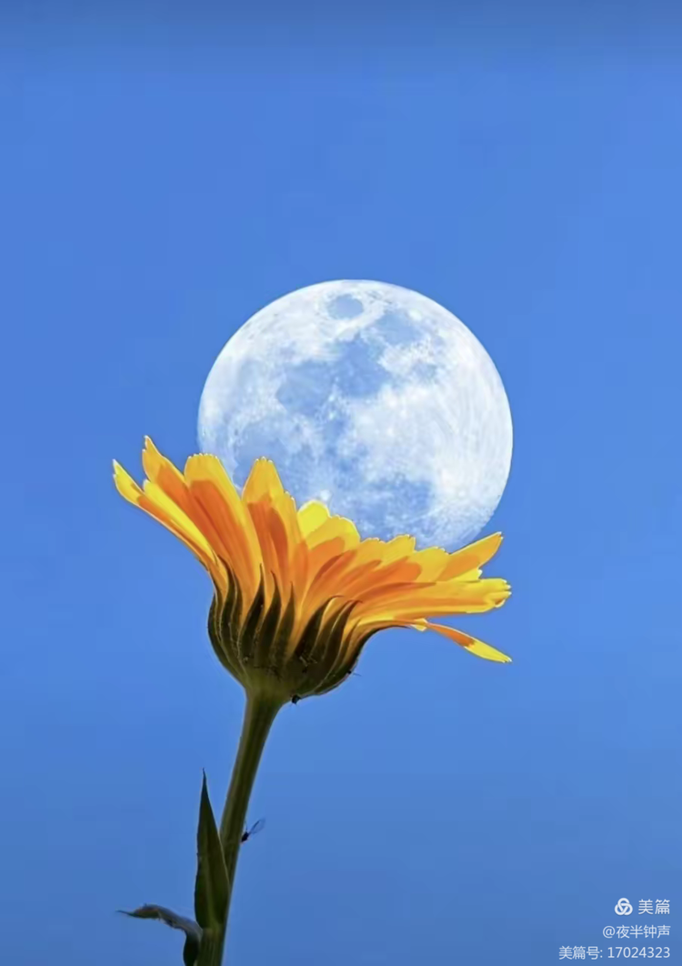 微信图片_20251009081113_224_429.png