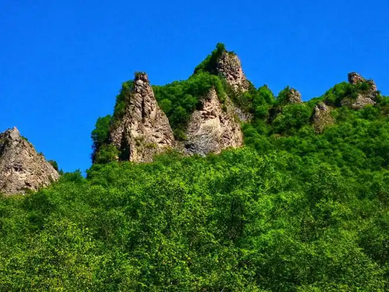 青山2.png